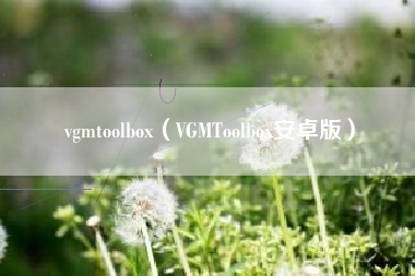 vgmtoolbox（VGMToolbox安卓版）