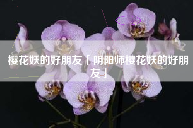 樱花妖的好朋友「阴阳师樱花妖的好朋友」