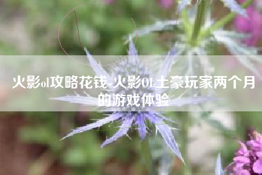 火影ol攻略花钱-火影OL土豪玩家两个月的游戏体验