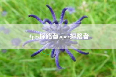 Apex探路者,apex探路者