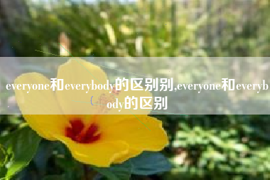 everyone和everybody的区别别,everyone和everybody的区别