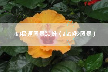 dnf极速风暴装扮（dnf20秒风暴）