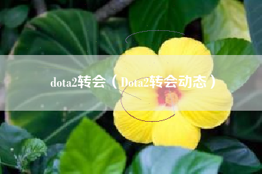 dota2转会（Dota2转会动态）