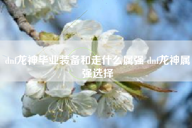 dnf龙神毕业装备和走什么属强 dnf龙神属强选择