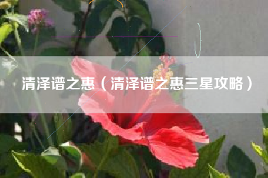 清泽谱之惠（清泽谱之惠三星攻略）