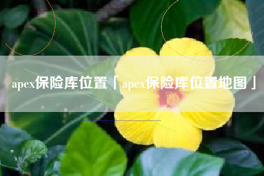 apex保险库位置「apex保险库位置地图」