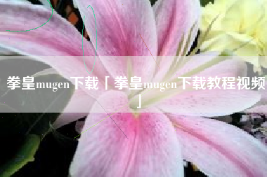 拳皇mugen下载「拳皇mugen下载教程视频」