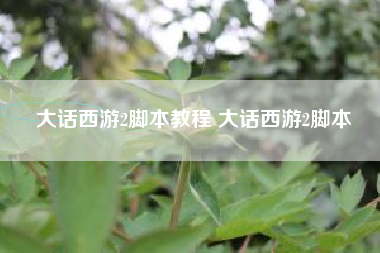 大话西游2脚本教程 大话西游2脚本