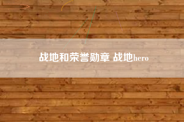 战地和荣誉勋章 战地hero