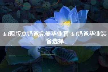 dnf现版本奶爸完美毕业套 dnf奶爸毕业装备选择