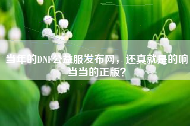 当年的DNF公益服发布网，还真就是的响当当的正版？