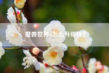 魔兽世界sf怎么升级快？