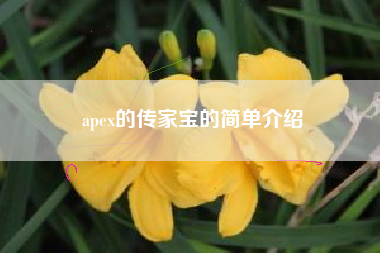 apex的传家宝的简单介绍