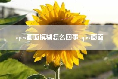 apex画面模糊怎么回事 apex画面