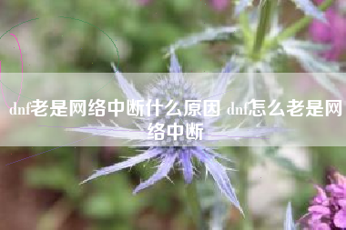 dnf老是网络中断什么原因 dnf怎么老是网络中断