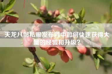 天龙八部私服发布网中如何快速获得大量的经验和升级？