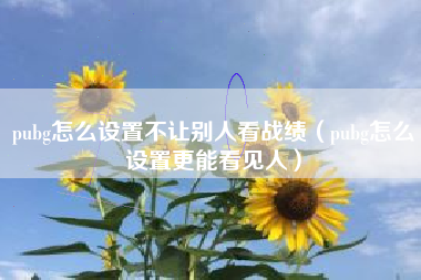 pubg怎么设置不让别人看战绩（pubg怎么设置更能看见人）