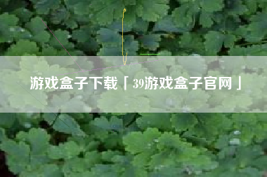 游戏盒子下载「39游戏盒子官网」