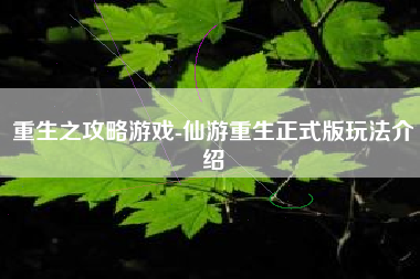 重生之攻略游戏-仙游重生正式版玩法介绍