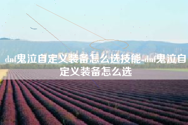 dnf鬼泣自定义装备怎么选技能-dnf鬼泣自定义装备怎么选