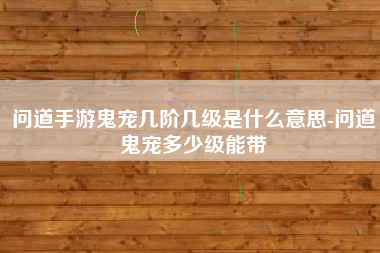 问道手游鬼宠几阶几级是什么意思-问道鬼宠多少级能带