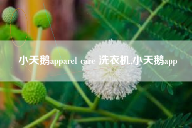 小天鹅apparel care 洗衣机,小天鹅app