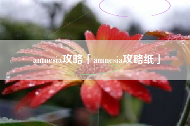 amnesia攻略「amnesia攻略纸」