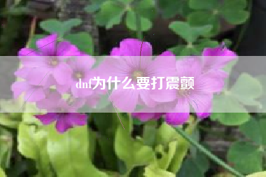 dnf为什么要打震颤