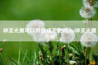 神圣光翼可以转换成龙袍吗,dnf神圣光翼外观