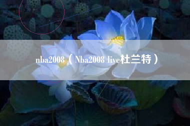 nba2008（Nba2008 live杜兰特）