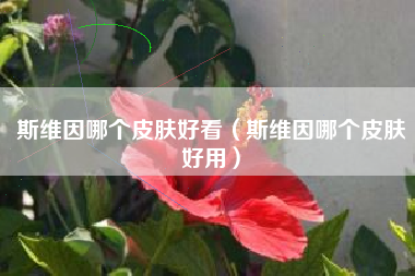 斯维因哪个皮肤好看（斯维因哪个皮肤好用）