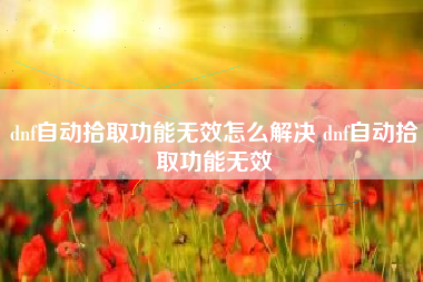 dnf自动拾取功能无效怎么解决 dnf自动拾取功能无效