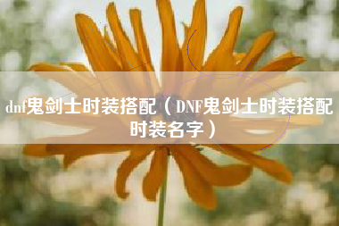 dnf鬼剑士时装搭配（DNF鬼剑士时装搭配 时装名字）