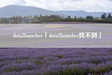 dota2launcher「dota2launcher找不到」