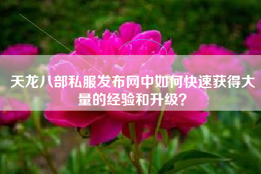 天龙八部私服发布网中如何快速获得大量的经验和升级？