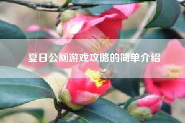 夏日公厕游戏攻略的简单介绍