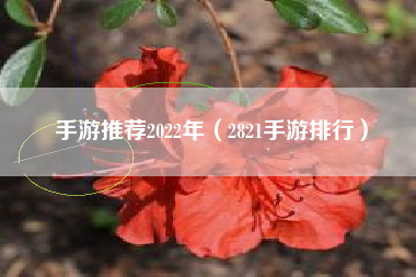 手游推荐2022年（2821手游排行）