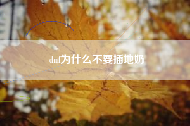 dnf为什么不要插地奶