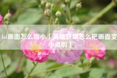 lol画面怎么缩小「英雄联盟怎么把画面变小点啊」