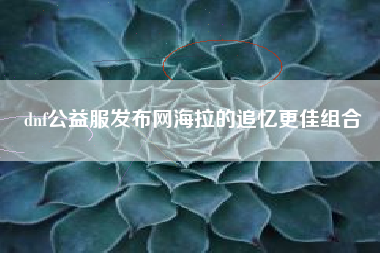 dnf公益服发布网海拉的追忆更佳组合