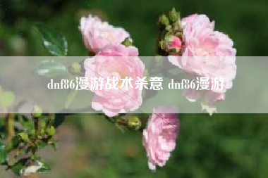 dnf86漫游战术杀意 dnf86漫游