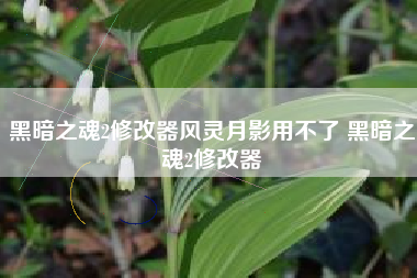 黑暗之魂2修改器风灵月影用不了 黑暗之魂2修改器