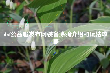 dnf公益服发布网装备涂鸦介绍和玩法攻略