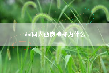 dnf同人西岚被称为什么