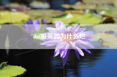 dnf服务器为什么烂