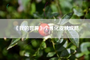 《我的世界》个性化皮肤攻略