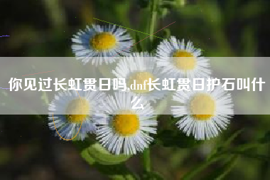 你见过长虹贯日吗,dnf长虹贯日护石叫什么