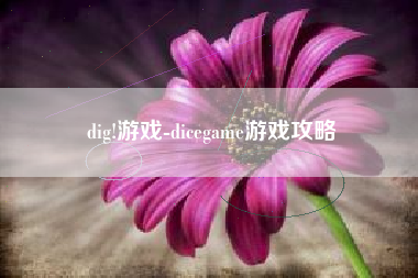 dig!游戏-dicegame游戏攻略