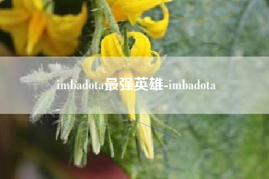 imbadota最强英雄-imbadota