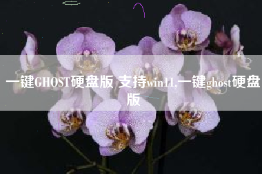 一键GHOST硬盘版 支持win11,一键ghost硬盘版